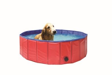 Bazén pro psy skládací 120 cm Marimex 10210054