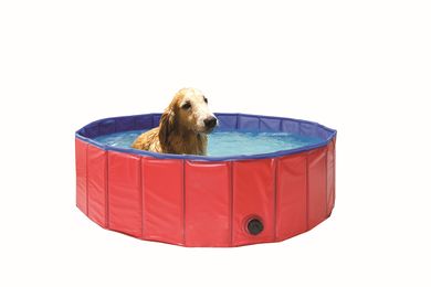 Bazén pro psy skládací 120 cm MARIMEX 10210054
